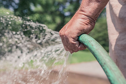 Garden maintenance in Provence and French Riviera by Arma Prestige