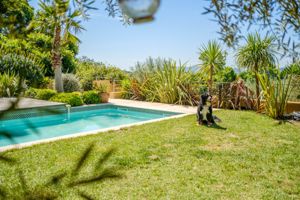 Villa de luxe en location en Provence Cote d'Azur avec piscine
