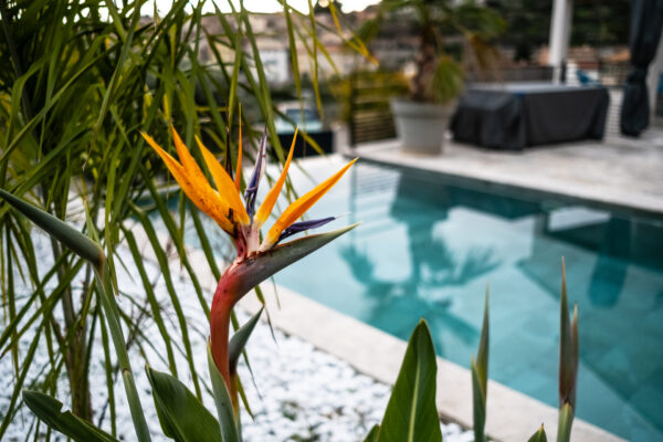 LOCATION VILLA DE LUXE LOCATION VILLA DE LUXE